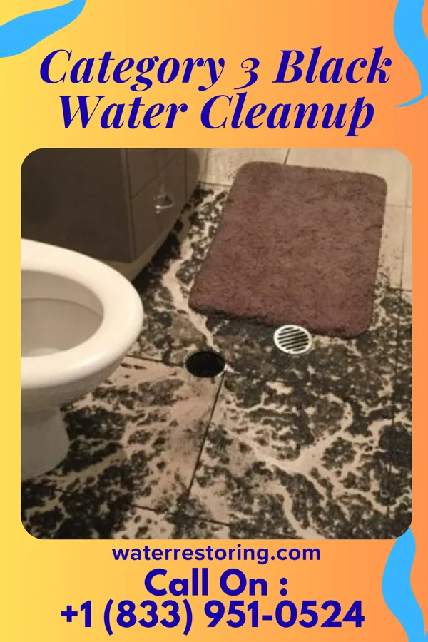 Category 3 Black Water Cleanup in Goltry, OK